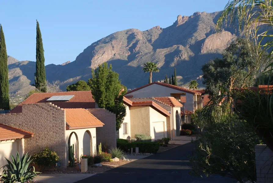 Houses along street